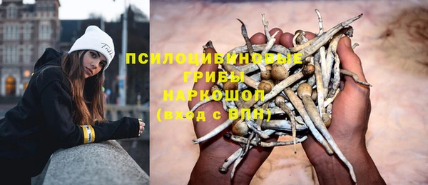 дживик Михайловка