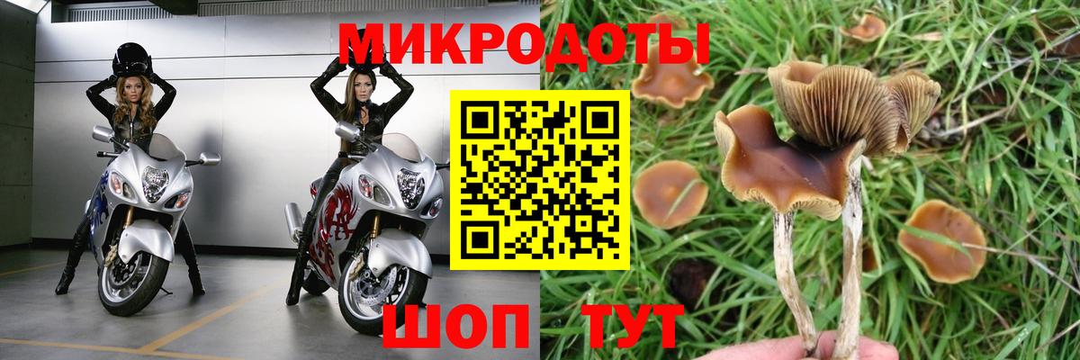 COCAIN Муром