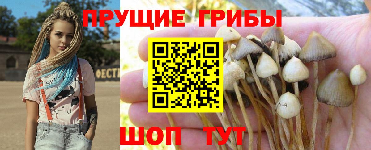 Галлюциногенные грибы Psilocybe  Вход с VPN  Псилоцибиновые грибы Magic Shrooms  Муром 